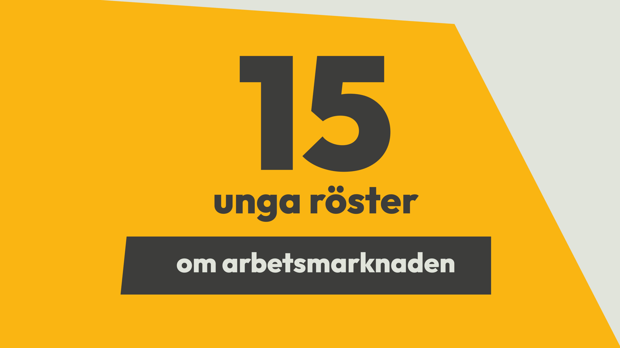unga på arbetsmarknaden